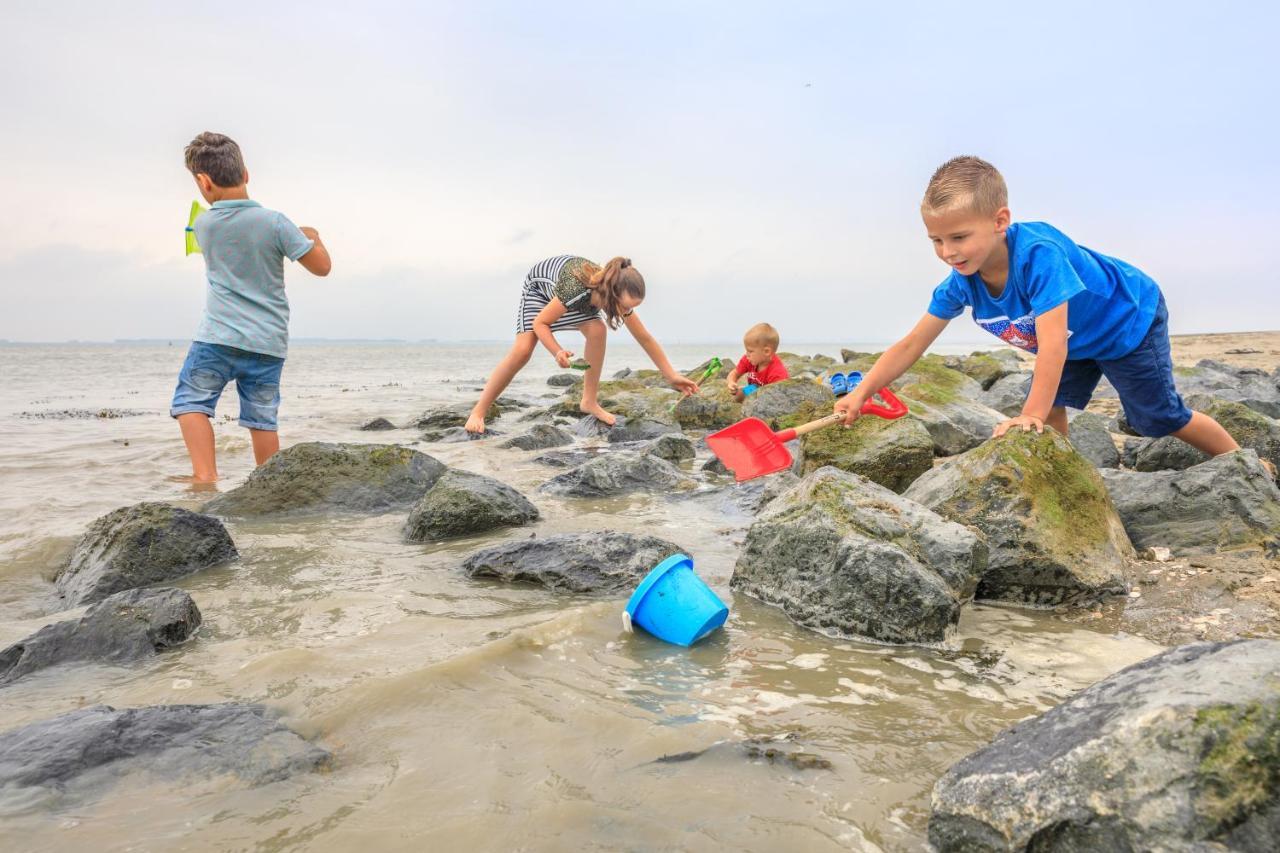 Luxe 5-Persoons Chalet Op Familiecamping Baarland Exteriér fotografie